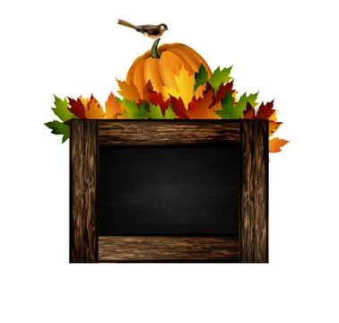 School board vector 스톡 일러스트