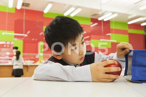 School boy checking lunch bag in school cafeteria Stock Photos