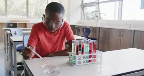 In school, boy conducting science experiment with test tubes and petri dish Stock Footage 303002368
