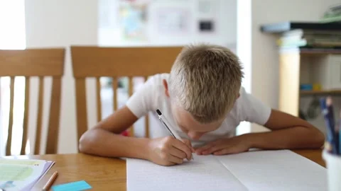 School boy doing homework Stock Footage 290088599