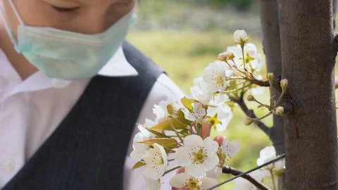 School boy in mask coma to tree and breathe flowers with pleasure. Corona virus. Stock Footage 127831184