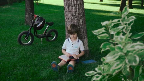 School boy reading a book under a large tree in a park-like setting. Video stock 136642848