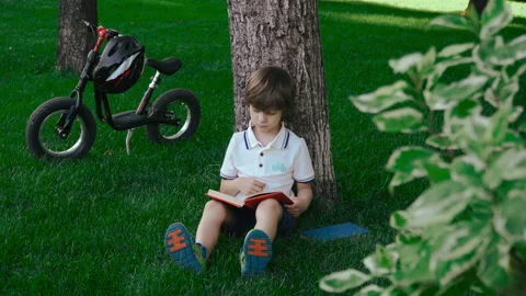 School boy reading a book under a large tree in a park-like setting. Video stock 136642952
