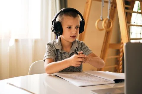 School boy using laptop. Stock Photos