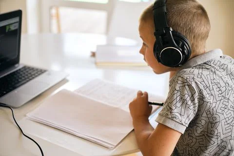 School boy using laptop. Stock Photos