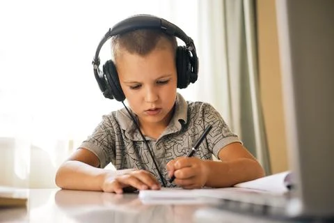 School boy using laptop. Stock Photos