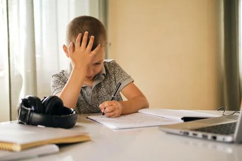 School boy using laptop. Stock Photos