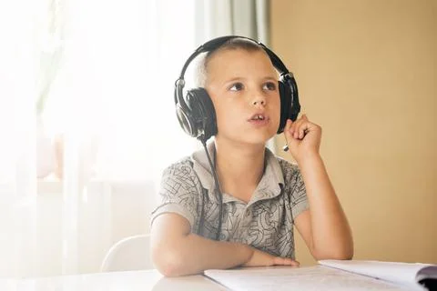 School boy using laptop. Stock Photos