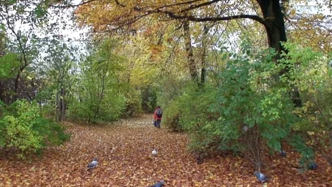School boy walking through a City Park in Fall Stock-Footage 85042589