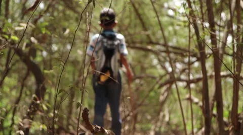 School boy walking through the Jungle. Vídeo Stock 55549592