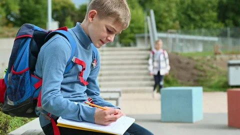 School boy writing in excercise book at schoolyard an waiting for lesson. 4K Stock Footage 160888982