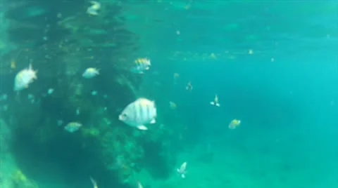 School break Stock Footage 24342802