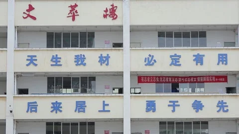 School building Stock Footage 235131137