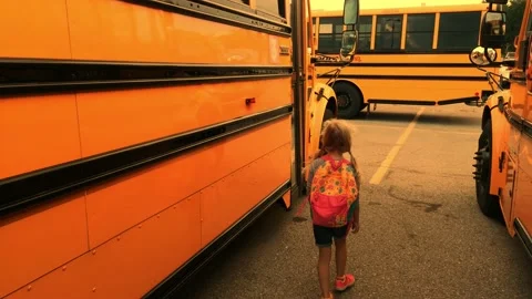 School Bus Closed Видео 138220052