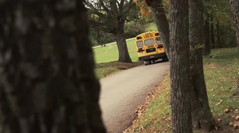 School Bus Drives Down Wooded Path Stock Footage 47322141