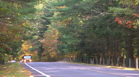 School bus drives by with fall colors Stock-Footage 42729050