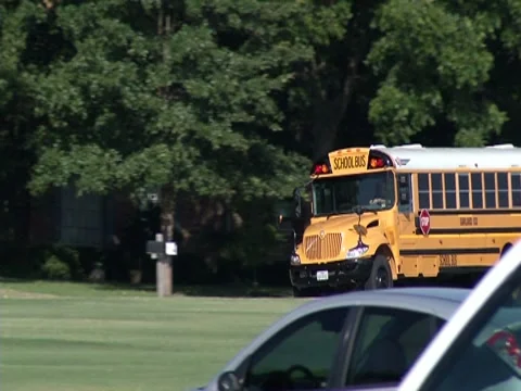 School Bus Driving-Pond 5 Stock Settings HD Video stock 8521207