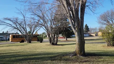 School Bus in the Fall Stock Footage 289786653