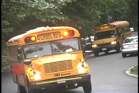School bus Video stock 156545