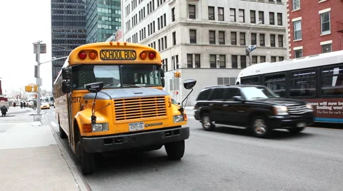 School Bus Stock Footage 2976341