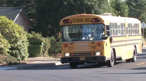 School Bus Stock Footage 8922697
