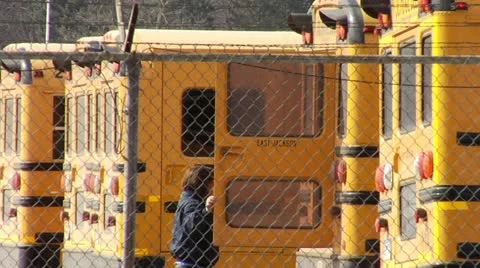 School Bus Stock Footage 11135232