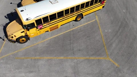 School Bus Lineup Back To School Aerial View Stock Footage 295152122
