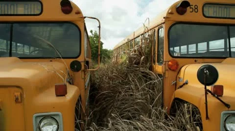School bus pan Stock Footage 8912169