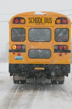 School bus Stock Photos
