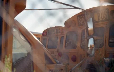 School Bus 스톡 사진