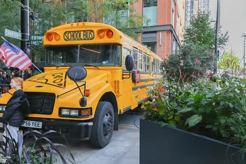 School Bus Stock Photos
