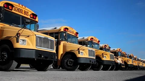 School Bus in Row  Video stock 56242584