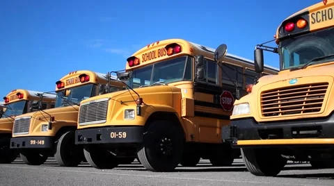 School Bus in Row  Video stock 56242587