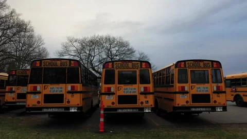 SCHOOL BUS ROW Stock Footage 195118640