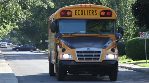 School bus in suburb Stock-Footage 48538242