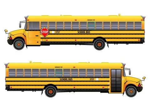 School bus, vector illustration. Isolated on white Stock Illustration