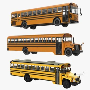 School Buses 3D Models Collection 3D Model