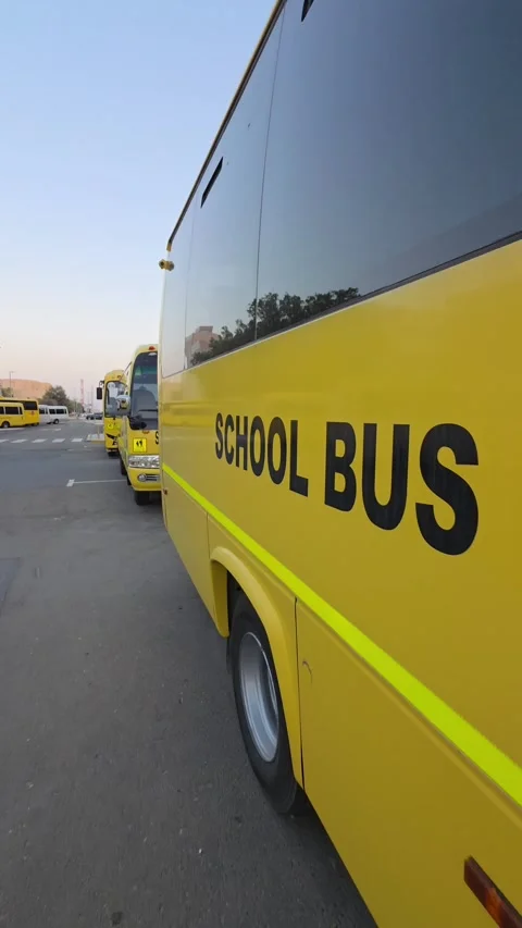 School buses are lined up in a parking area in Abu Dhabi Stock Footage 333979831