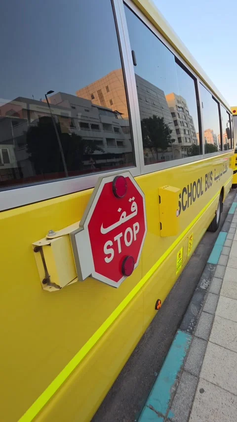 School buses are lined up in a parking area in Abu Dhabi Stock Footage 333980183