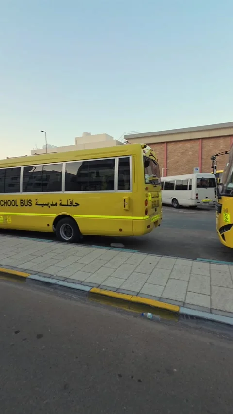 School buses are lined up in a parking area in Abu Dhabi Stock Footage 333980195