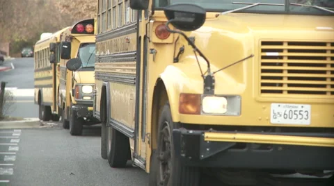School buses arrivals. Stock Footage 1077537