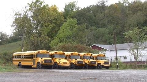 School buses in a bus yard Georgetown PA Video stock 91056221