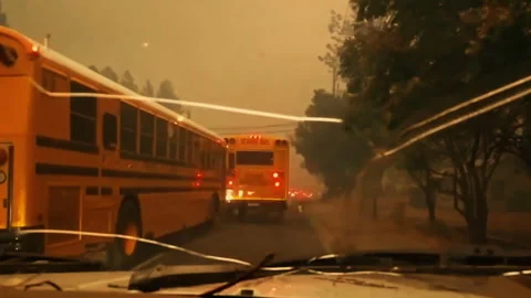 School buses evacuating during a wildfire emergency Vidéo 332961709
