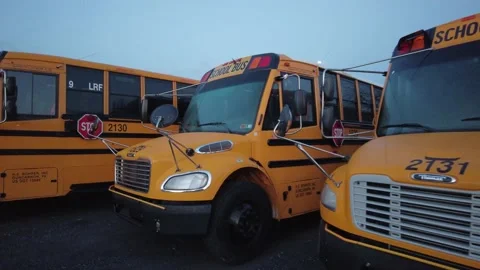 School Buses Stock Footage 196258681