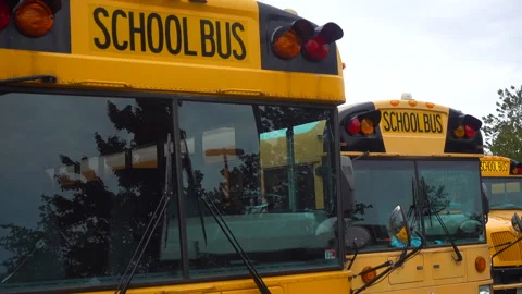 School buses next to each other Video stock 143293024