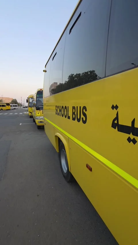 School buses stand in a parking area in Abu Dhabi, UAE. Stock Footage 333980206