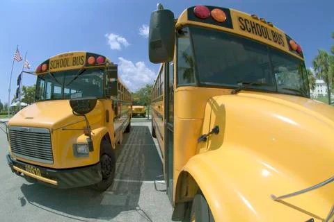 School busses Stock Photos