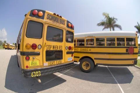 School busses Stock Photos