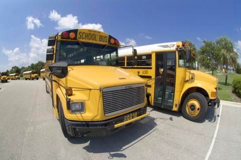 School busses Stock Photos