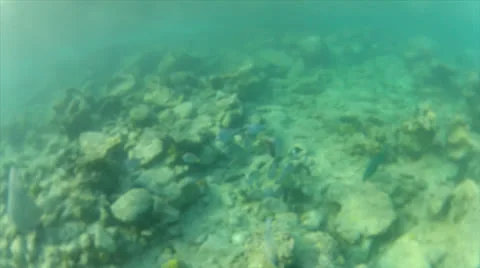 School chase cam 60% Stock Footage 24591808